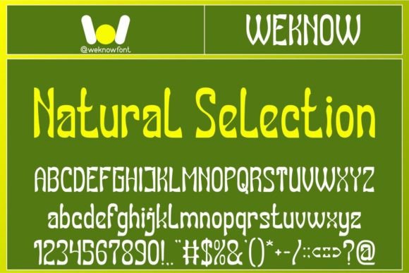 Natural Selection Font for Modern Branding and Display Design