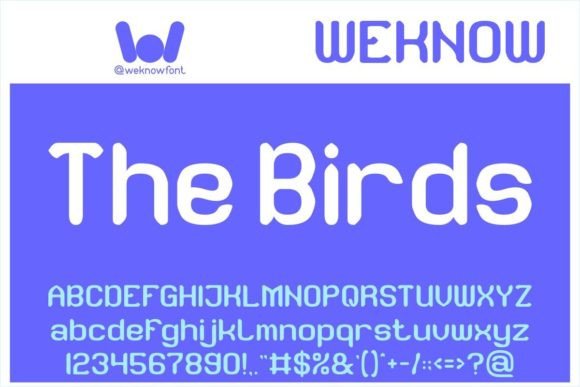 The Birds Display Font for Handmade Branding and Product Design